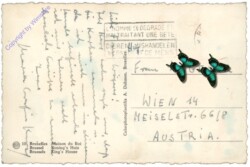 Brüssel, Bruxelles, Maison du Roi