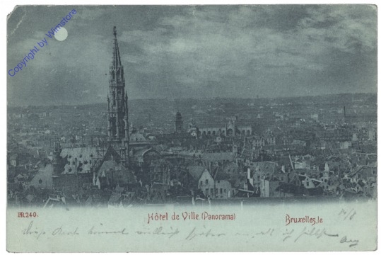 ak119406 Brüssel, Bruxelles, L'Hotel de Ville, Panorama, Mondschein