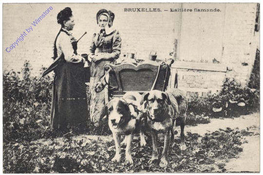 ak119416 Brüssel, Bruxelles, L'aitiere flamande