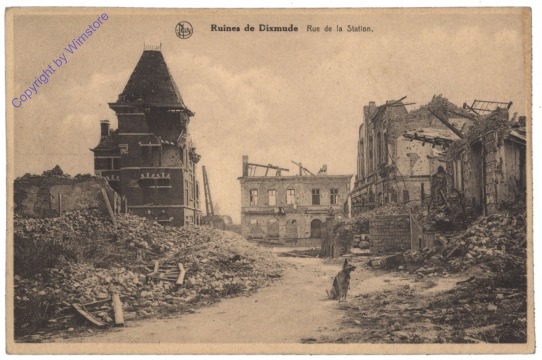 ak119494 Diksmuide, Dixmude, Rue de la Station