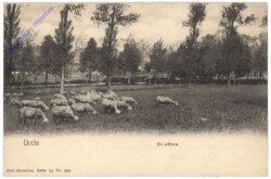 Ukkel, Uccle, En pature