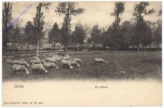 Ukkel, Uccle, En pature