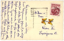 Salzburg, Die alte Bischofstadt