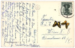 Salzburg, Altstadt vom Mönchsberg