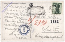 Salzburg, die Salzachstadt im Mondschein