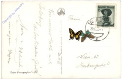 Salzburg, die Salzachstadt im Mondschein