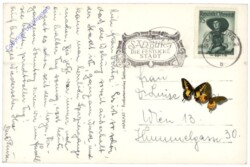 Salzburg, Festung mit Untersberg