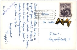 Salzburg, Hohensalzburg u. Untersberg