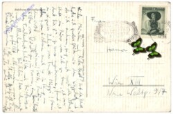 Salzburg, Schloss Mirabell, Mirabellgarten