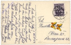 Salzburg, Peterskeller