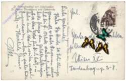 Salzburg, St. Petersfriedhof mit Katakomben