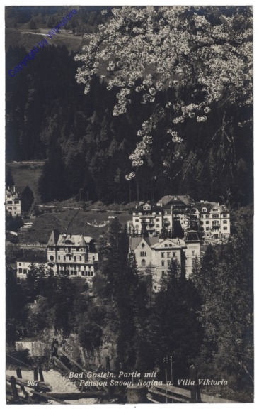ak121100 Bad Gastein, Pension Savoy, Regina u. Villa Viktoria