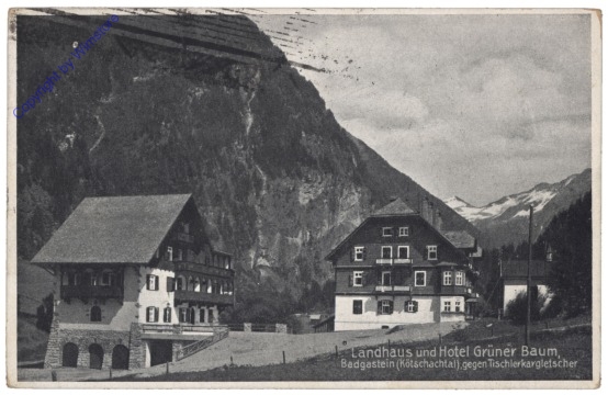 Bad Gastein, Landhaus und Hotel Grüner Baum