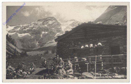 ak121278 Bad Gastein, Radeckalpe mit Ankogel