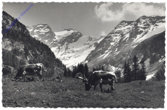 ak121279 Bad Gastein, Radeckalpe mit Ankogel