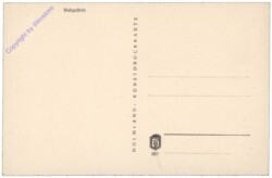 Bad Gastein, Ortsansicht, Vers