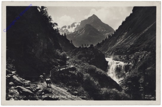 Bad Gastein, Alpenhaus St. Hubertus, Naßfeld