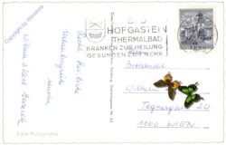 Bad Hofgastein, Hohe Scharte, Schlossalm