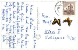 Dienten, am Hochkönig