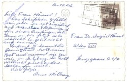 Dienten, Blick von der Sommereralm g.d. Marbachhöhe