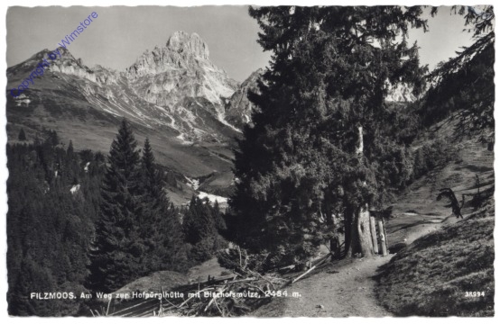 ak121598 Filzmoos, Am Weg zur Hofpürglhütte mit Bischofsmütze