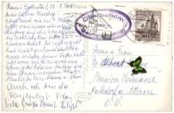 Filzmoos, Oberhofalm mit Bischofsmütze