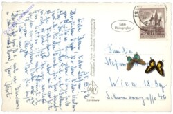 Filzmoos, mit der Dachsteingruppe