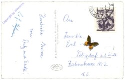 Filzmoos, mit Bischofsmütze
