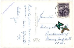 Filzmoos, Pehabalm u. Aualm geg. Bischofsmütze