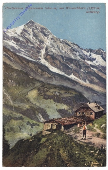 ak121648 Fusch an der Großglocknerstraße, Hotelpension Trauneralm mit Wiesbachhorn
