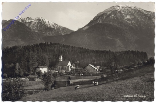 Goldegg im Pongau, Ortsansicht