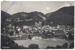 Hallein, Ortsansicht