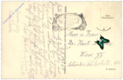 Henndorf, mit Wallersee, Fliegeraufnahme