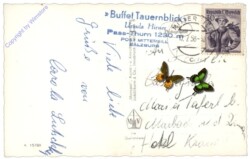 Hollersbach, Blick von der Paß Thurnstraße auf Hollersbach