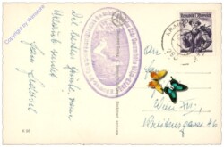 Krimml, Mittlerer Krimmler Wasserfall mit Gasthof "Schönangerl"