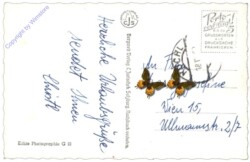 Kuchl, mit dem Hohen Göll