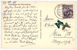 Lofer, gegen das Reitergebirge