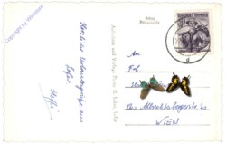 Lofer, und Loferer Steinberge