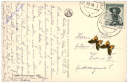 Maria Alm am Steinernem Meer, Ortsansicht