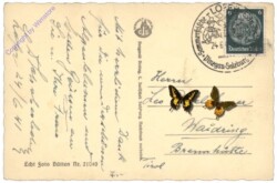 Maria Alm am Steinernem Meer, Ortsansicht