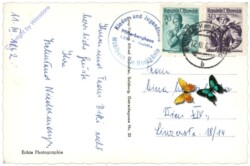 Mühlbach am Hochkönig, Kinder und Jugendhilfe Mitterberghaus