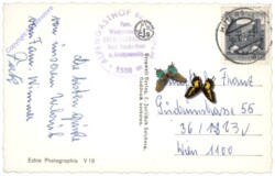 Neukirchen am Großvenediger, Alpengasthaus "Berndlalm" im Obersulzbachtal g.d. Hackkogel