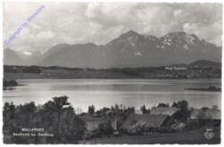 Neumarkt am Wallersee, Wallersee