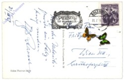 Neumarkt am Wallersee, Wallersee