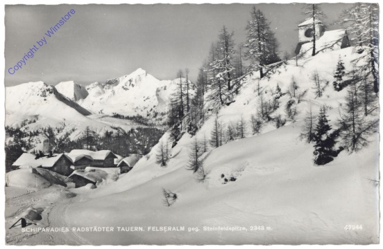 Radstädter Tauern, Felseralm geg. Steinfeldspitze