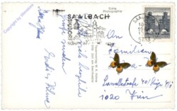 Saalbach-Hinterglemm, Ortsansicht