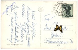 Saalbach-Hinterglemm, Schönhoferwand vom Penhab