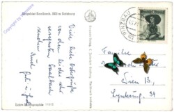 Schwarzach, Schwarzachergraben g. Hochkogel v. Reichkendlkopf