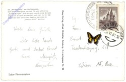 St. Wolfgang, mit Schafberg