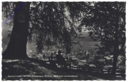 Tamsweg, Blick vom Leonhardiberg